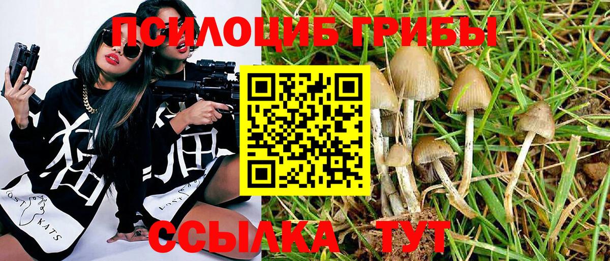 купить наркотик  Галлюциногенные грибы мицелий  Псилоцибиновые грибы мицелий  Вход с VPN  Анапа 